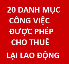 20 danh mục công việc được phép cho thuê lại lao động theo nghị định 29/20198/NĐ-CP 